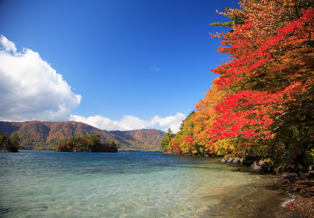 秋田県　岩手県　十和田八幡平国立公園　紅葉と温泉キャペーン