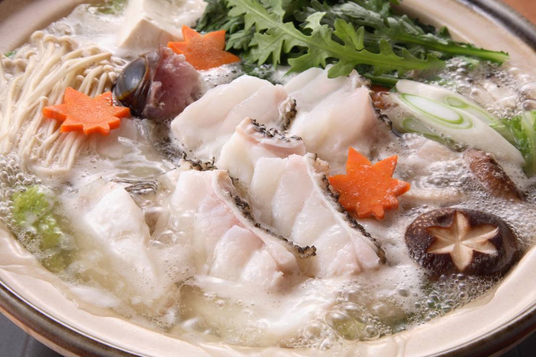 和歌山 日高町の幻の高級魚 クエのシーズンがまもなく到来 フグよりおいしいとも言われるクエ尽くしを本場で 美味しいのに低カロリー おんせんニュース
