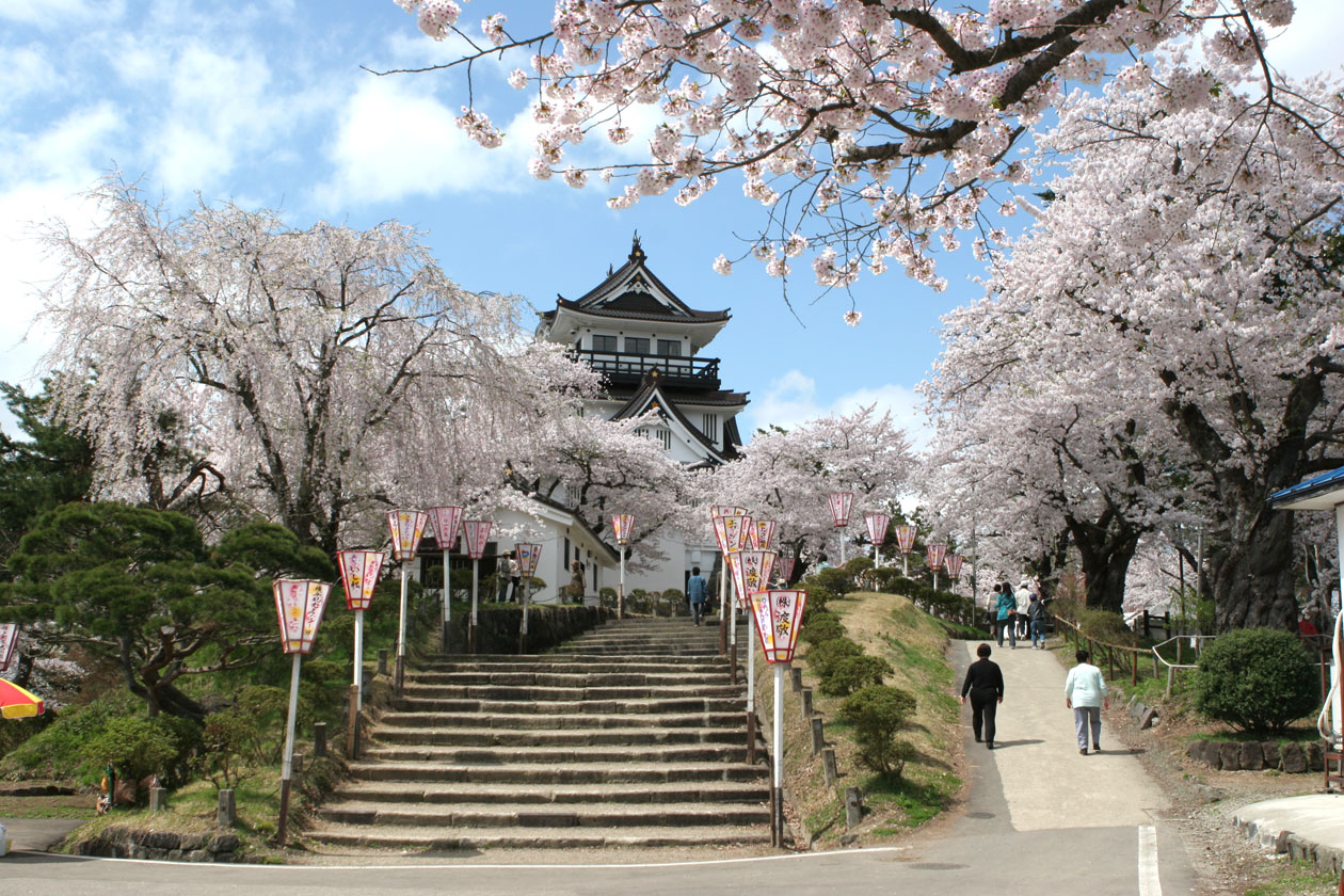 秋田・横手「よこて桜まつり」横手公園の桜