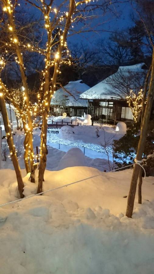 21年は中止 栃木 湯西川温泉 湯西川温泉 かまくら祭 日本夜景遺産認定のミニかまくら点灯も 平家落人の里の幻想的な雪祭り おんせんニュース