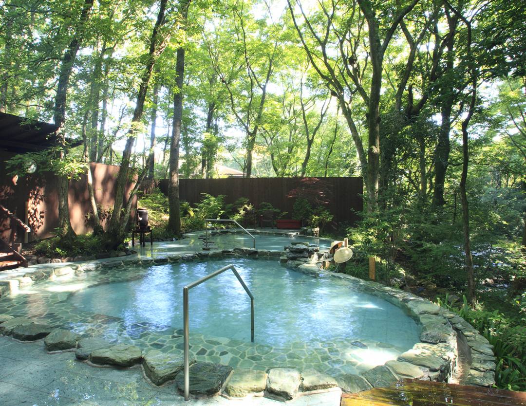 ドライブ 東京から100キロ 神奈川 南足柄 森林浴と温泉が一度に楽しめる 理想の温泉 へ おんせんニュース