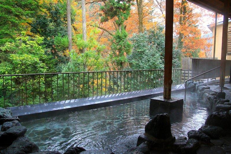 東京 秋川渓谷 瀬音の湯 都心から約50キロで大自然を望む天然温泉 秋は紅葉 冬の雪景色も楽しめる おんせんニュース