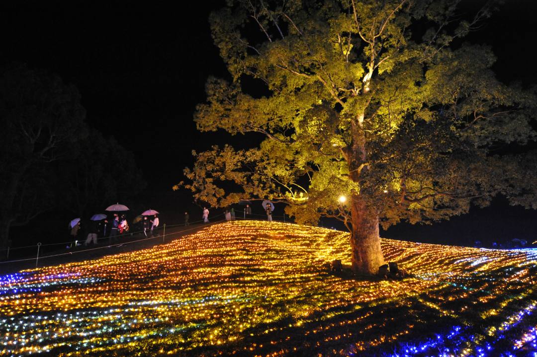 香川 国営讃岐まんのう公園ウィンターファンタジー 広大な公園が光に彩られる人気のイルミイベント開催中 おんせんニュース