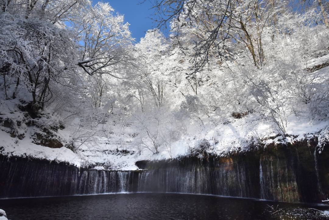 長野 軽井沢 白糸の滝 真冬のライトアップ 今シーズンはクリスマス 新年 バレンタインの計16日間 おんせんニュース