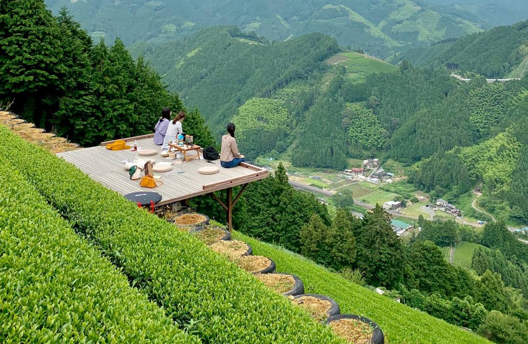 静岡県茶畑の絶景の中で最高に美味しいお茶を味わう茶の間。天空の茶の間