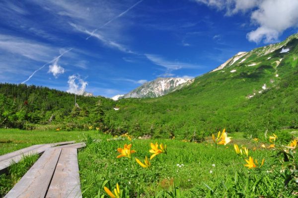 長野「絶対に行きたい信州絶景チケット」山頂の大パノラマスポット4か所を楽しめるスペシャルチケット発売中！ - おんせんニュース