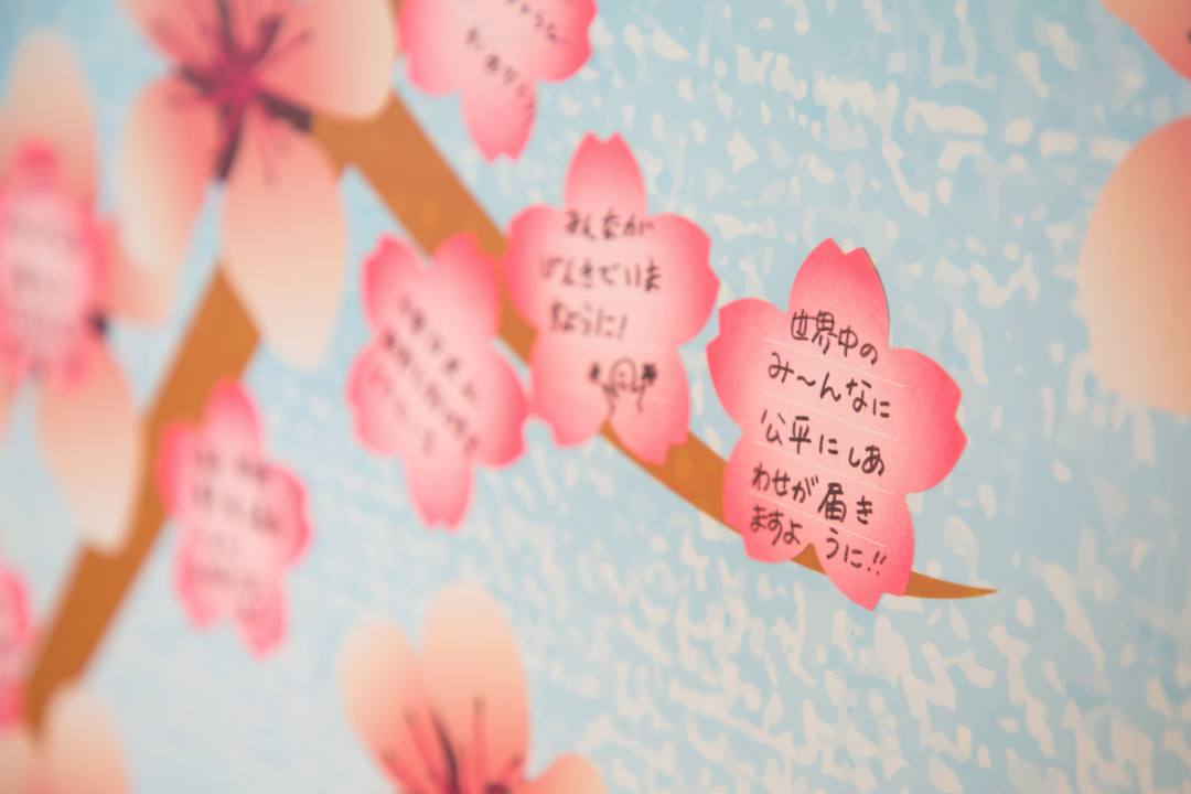 函館湯の川温泉 湯元啄木亭「桜満開プロジェクト」