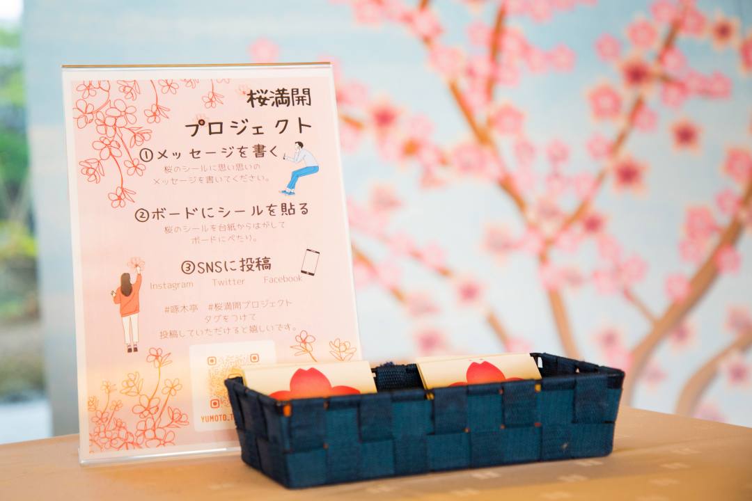 函館湯の川温泉 湯元啄木亭「桜満開プロジェクト」