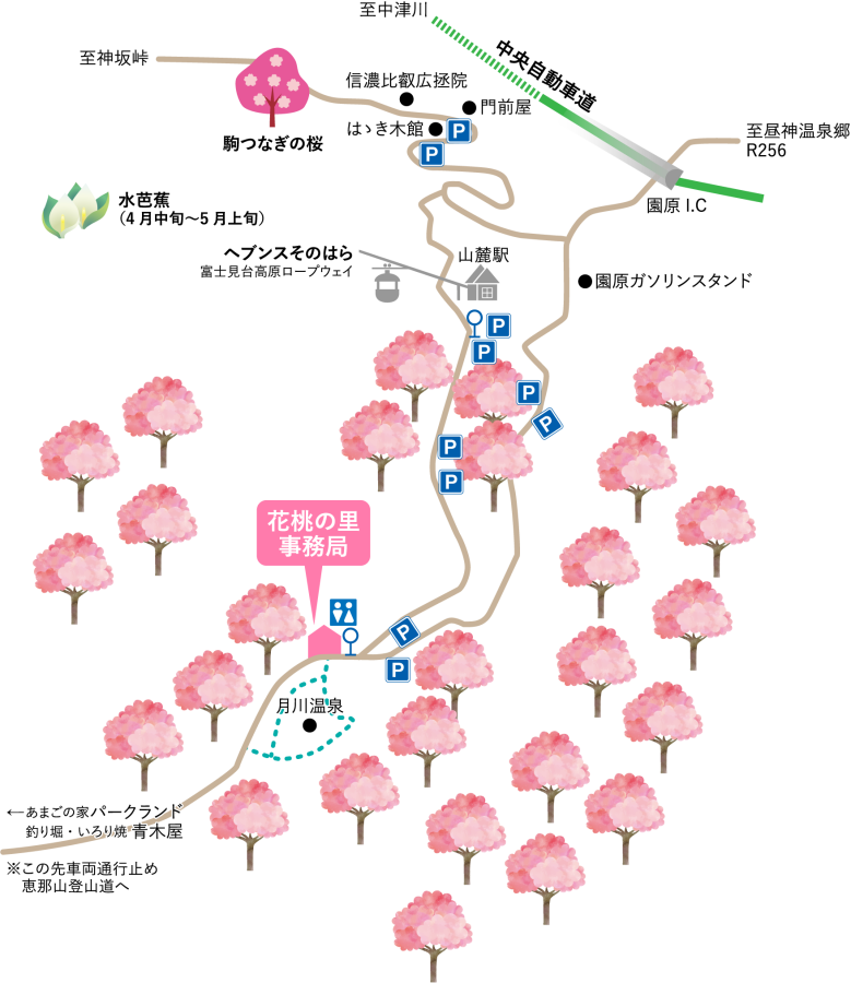 月川温泉「花桃まつり」