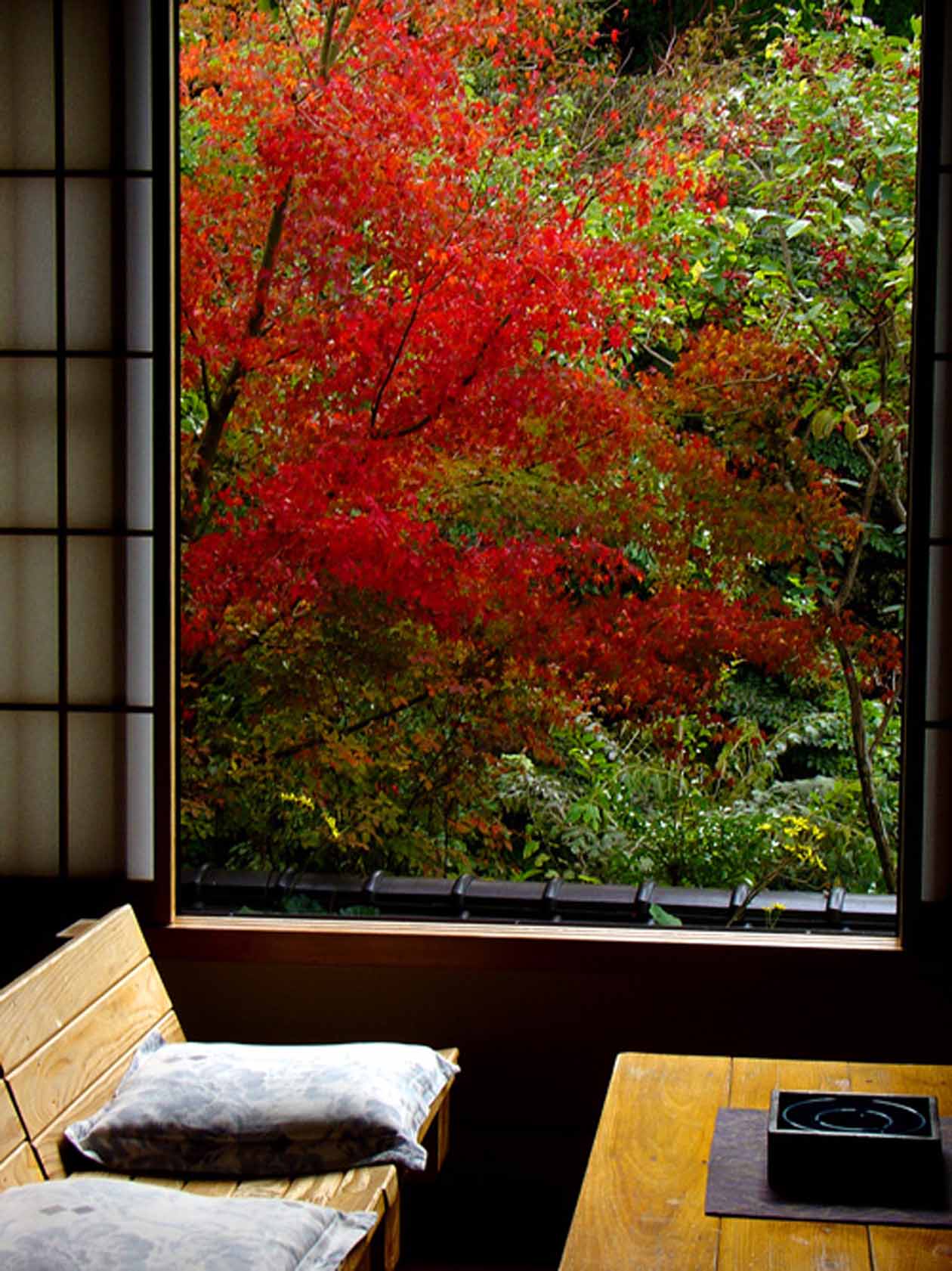 藤もと 部屋の紅葉 撮影:ザクプラン高山恵