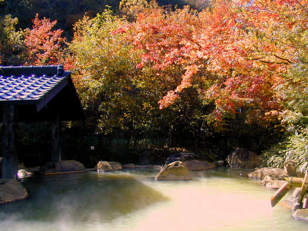筌ノ口温泉 新清館