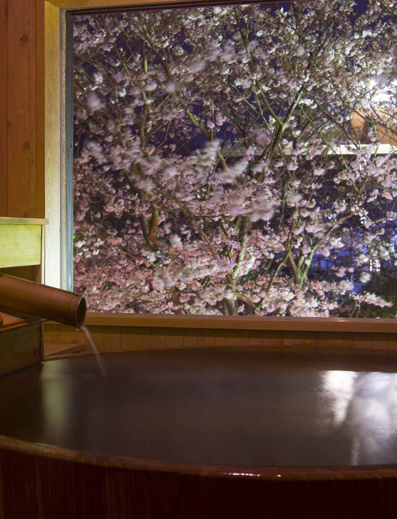 佐賀県嬉野市　嬉野温泉　旅館吉田屋　桜が見える露天風呂がついている客室　花見露天