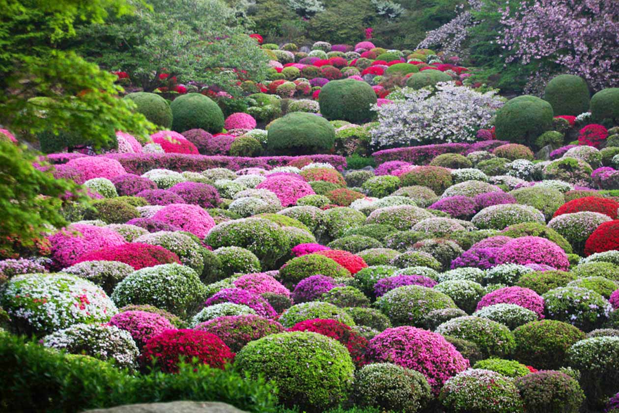 佐賀県武雄市 武雄温泉 御船山楽園 Saga pref Mifuneyama-rakuen Half a million Square meter Japanese garden