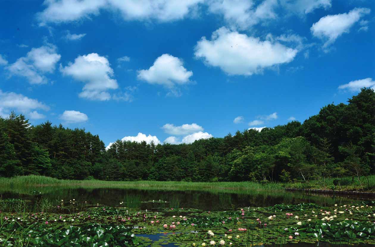 福島県　土湯温泉花と温泉　のんびりラリー　スタンプラリー