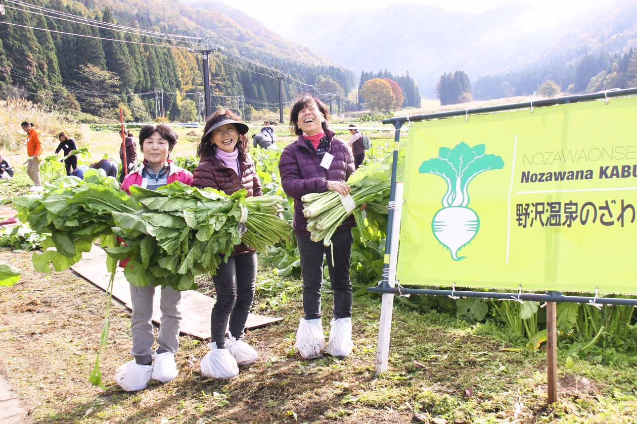 長野県 野沢温泉 のざわな蕪四季會社 野沢菜