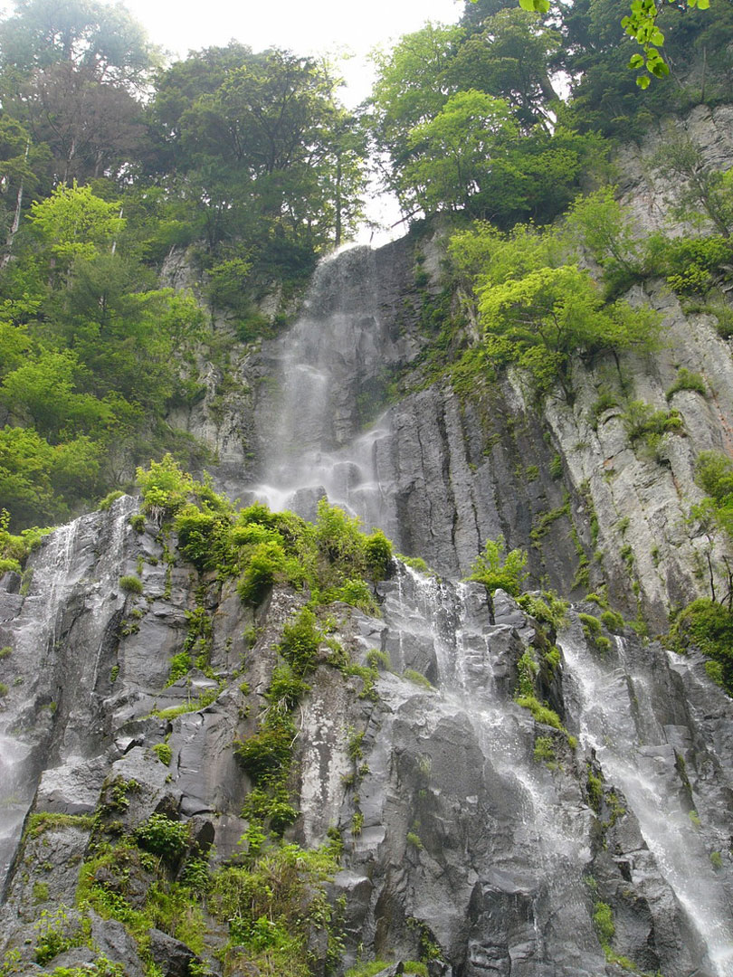 岐阜 乗鞍山麓五色ヶ原の森 認定ガイドが同行しないと入れない神秘の世界に癒されるトレッキングツアー おんせんニュース