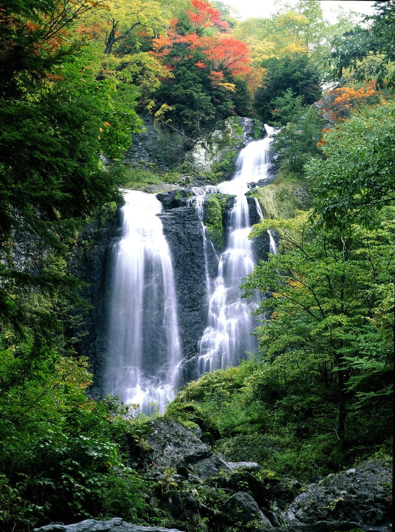 岐阜県高山市 乗鞍山麓五色ヶ原の森