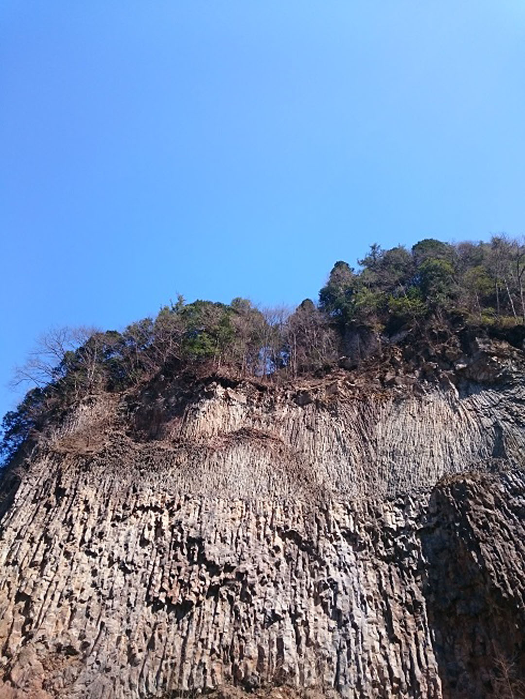 岐阜県下呂市小坂町落合 がんだて公園 カフェトレッキング ハンモックでカフェ