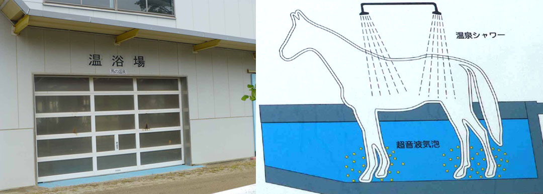 福島県 いわき湯本温泉 馬の温泉療養所 日本中央競馬会 競走馬リハビリテーションセンター