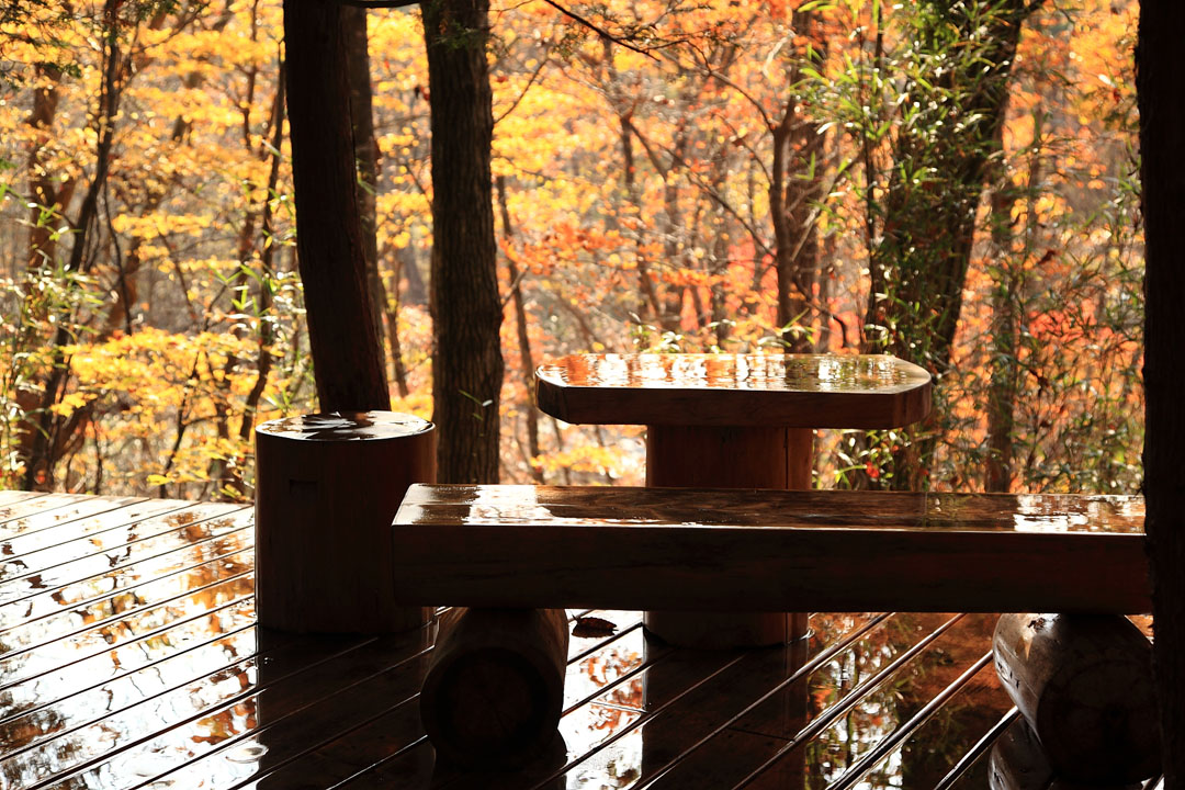 源泉かけ流しの紅葉露天風呂 宮城県刈田郡蔵王町遠刈田温泉 温泉山荘 だいこんの花