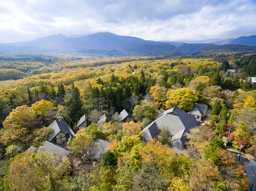 源泉かけ流しの紅葉露天風呂 宮城県刈田郡蔵王町遠刈田温泉 温泉山荘 だいこんの花