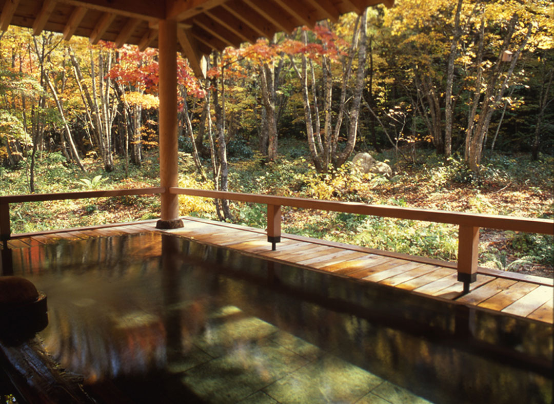 源泉かけ流しの紅葉露天風呂 長野県大町市 葛温泉 温宿かじか