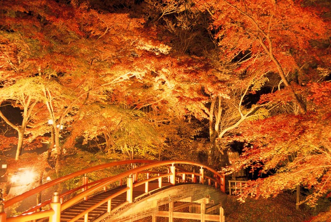 群馬県渋川市 伊香保温泉 河鹿橋の紅葉 ライトアップ
