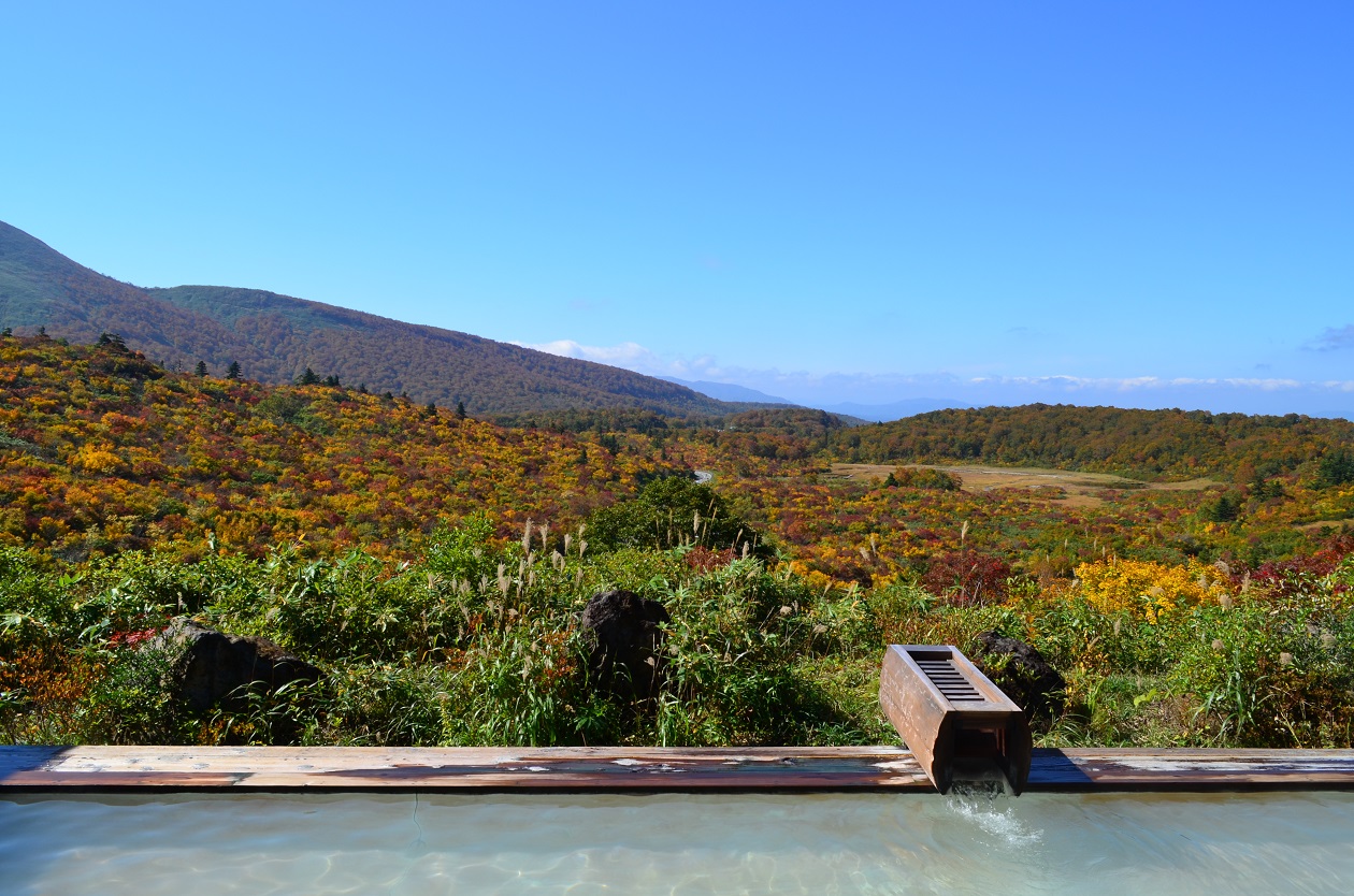 秋田 須川温泉 栗駒山荘 標高1100m 雲上の絶景露天風呂から見渡す一面赤と黄色 パノラマの紅葉 おんせんニュース