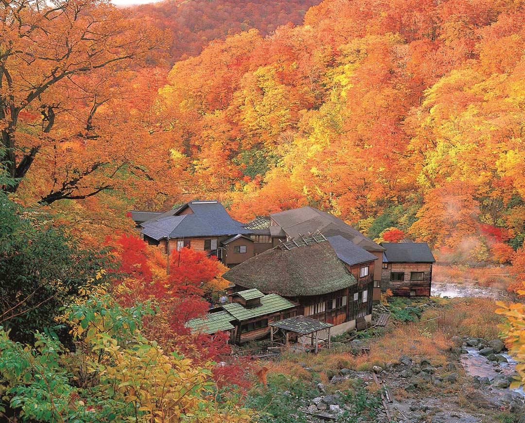 源泉かけ流しの紅葉露天風呂 秋田県仙北市 乳頭温泉郷 黒湯温泉