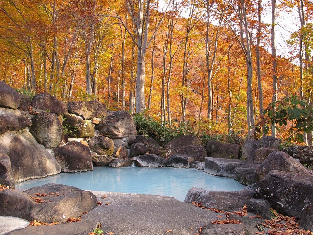 源泉かけ流しの紅葉露天風呂 新潟県妙高市大字関山燕温泉 黄金の湯