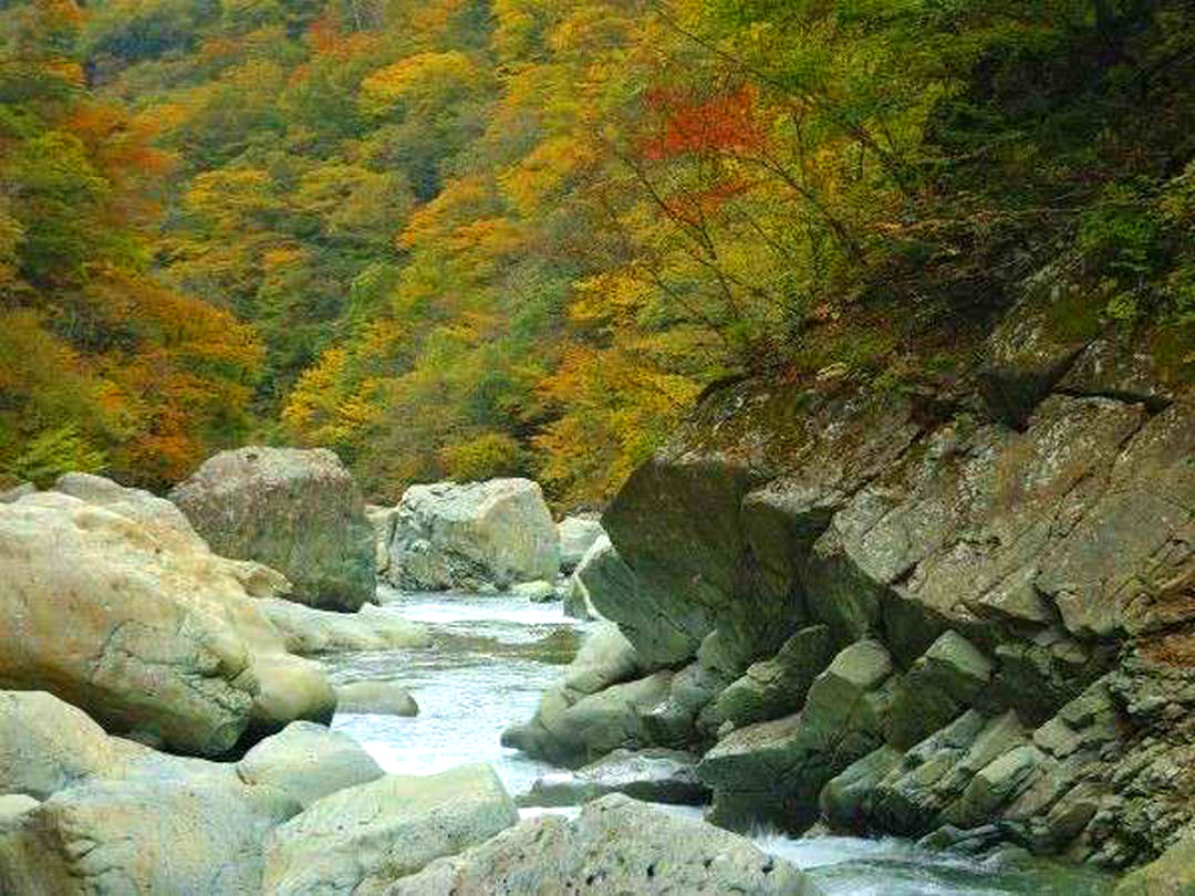 源泉かけ流しの紅葉露天風呂 栃木県那須塩原市 塩原温泉 湯守田中屋