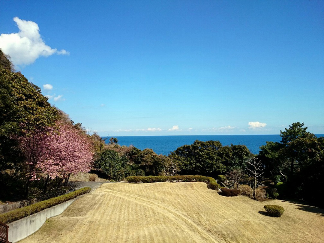 静岡県伊東市　ホテル海　桜が見える露天風呂　花見露天風呂