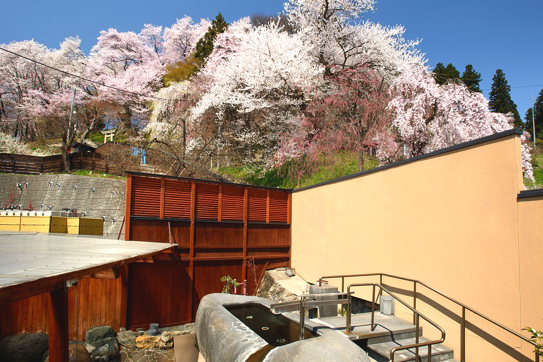 山形県南陽市　赤湯温泉　上杉の御湯　御殿守　桜が見える露天風呂　花見露天