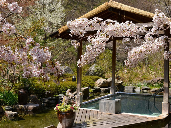 花見露天特集　桜が見える露天風呂　客室の露天風呂から桜が見える　花見露天付き客室　おんせんニュース