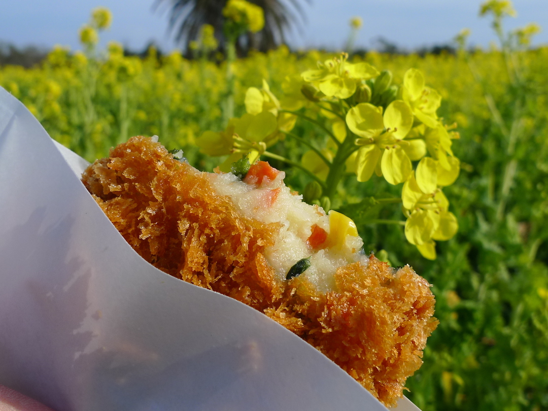 愛知 渥美半島菜の花まつり 菜の花いちごロールなど菜の花グルメも満開 一足早い春を満喫しよう おんせんニュース