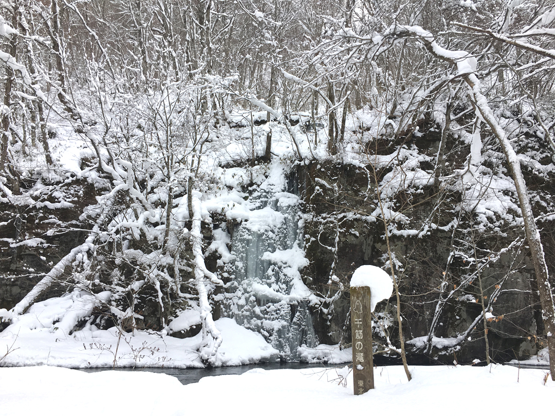 青森県十和田市 奥入瀬渓流の冬の絶景　奥入瀬ネイチャーガイドツアー