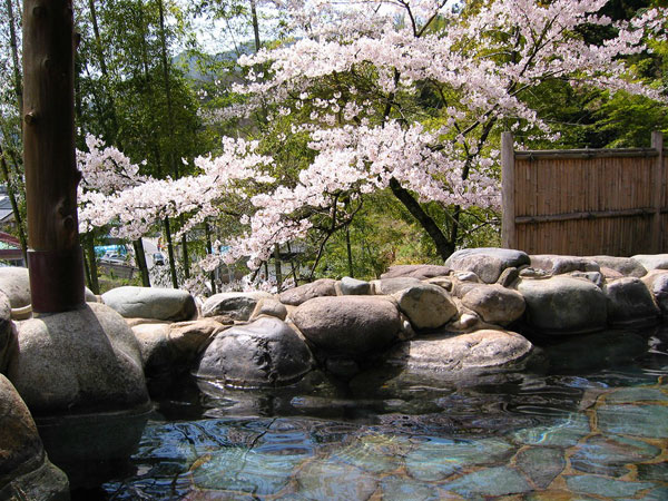 花見露天特集　桜が見える露天風呂　客室の露天風呂から桜が見える　花見露天付き客室　おんせんニュース