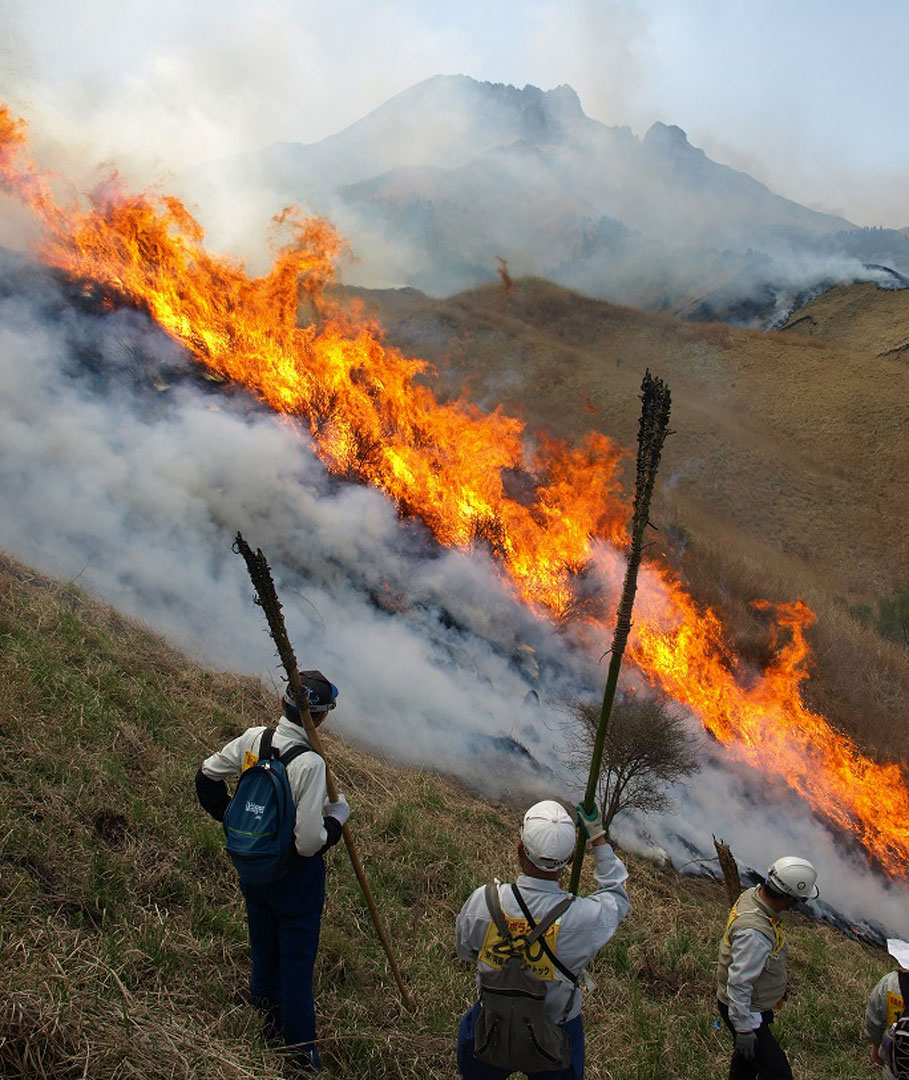 熊本県　阿蘇の野焼き　立ち入り禁止の野焼きを間近に見れるツアー