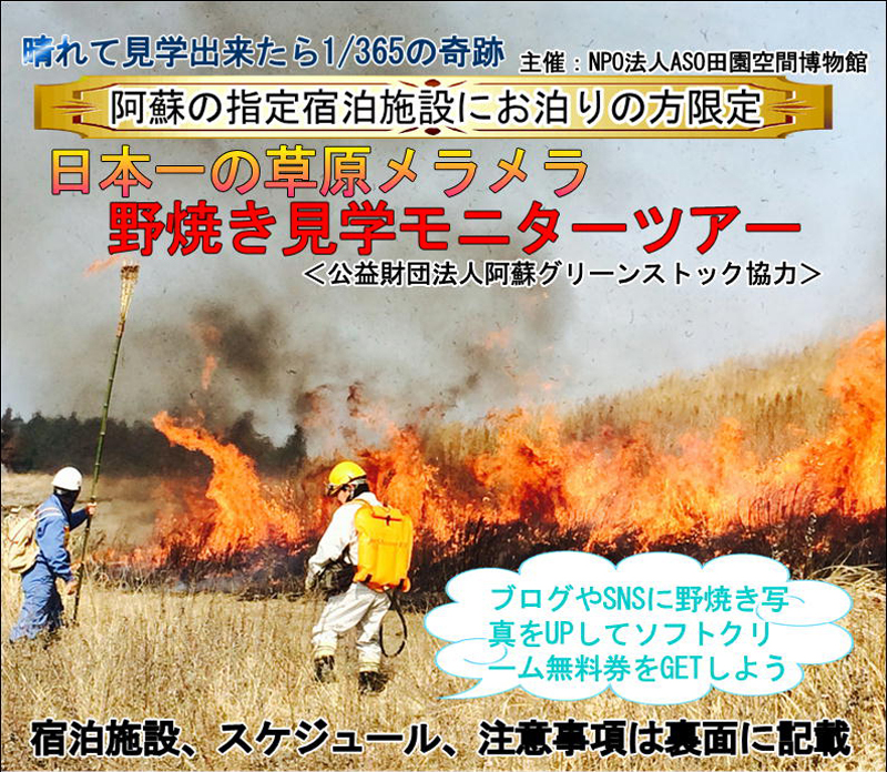 熊本県　阿蘇の野焼き　立ち入り禁止の野焼きを間近に見れるツアー