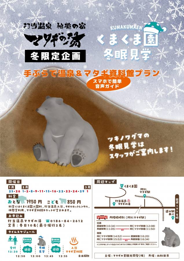 秋田 しーっ 起こさないようにね 冬眠中のクマをそっと見学できる珍しいイベント くまくま園 で温泉入浴つき冬眠見学会 3 1の指定日 おんせんニュース